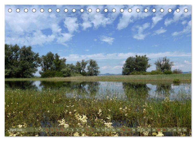 Produktbild: Bodenseeperlen (Tischkalender 2026 DIN A5 quer), CALVENDO Monatskalender