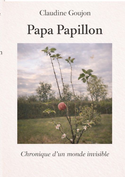 Produktbild: Papa Papillon
