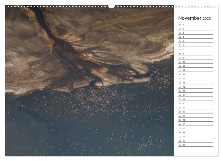 Produktbild: Flamingo Impressionen 2026 (hochwertiger Premium Wandkalender 2026 DIN A2 quer), Kunstdruck in Hochglanz