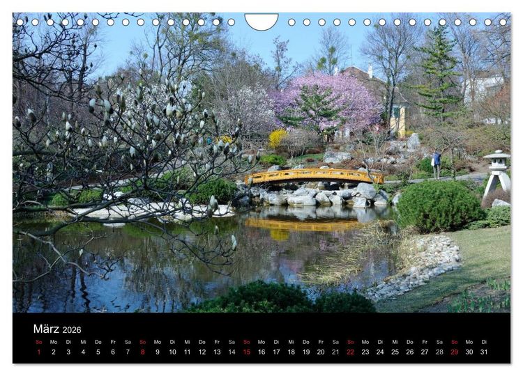 Produktbild: Wien (Wandkalender 2026 DIN A4 quer), CALVENDO Monatskalender