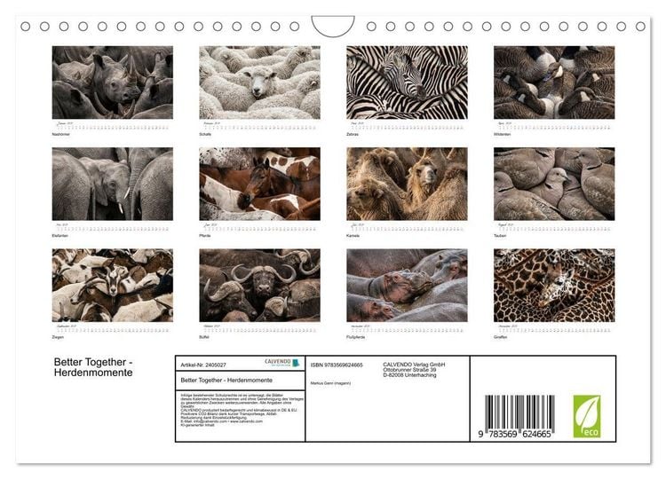 Produktbild: Better Together - Herdenmomente (Wandkalender 2027 DIN A4 quer), CALVENDO Monatskalender
