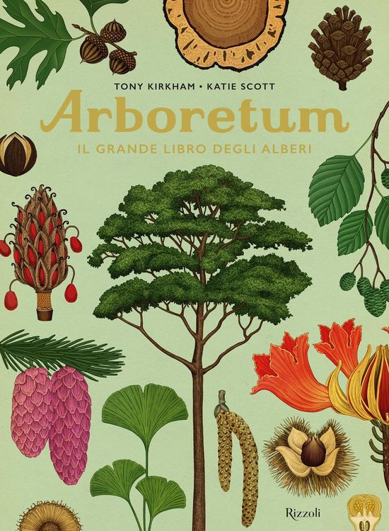 Produktbild: Arboretum. Il grande libro degli alberi