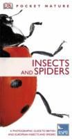 Produktbild: DK: Insects and Spiders