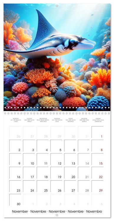 Produktbild: Sea Creatures of the Coral Reefs (Wall Calendar 2026 12 &times; 12 Inch) CALVENDO 12 Month Wall Calendar