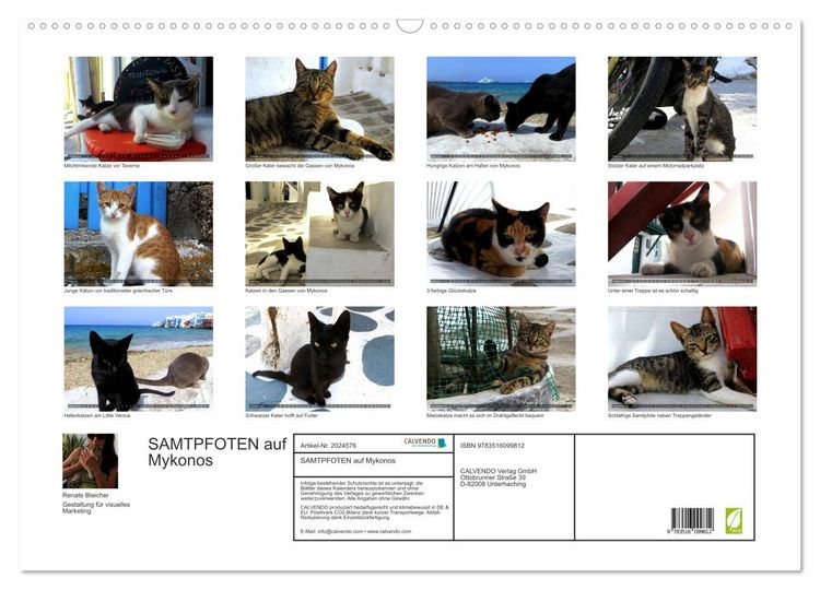 Produktbild: SAMTPFOTEN auf Mykonos (Wandkalender 2026 DIN A2 quer), CALVENDO Monatskalender