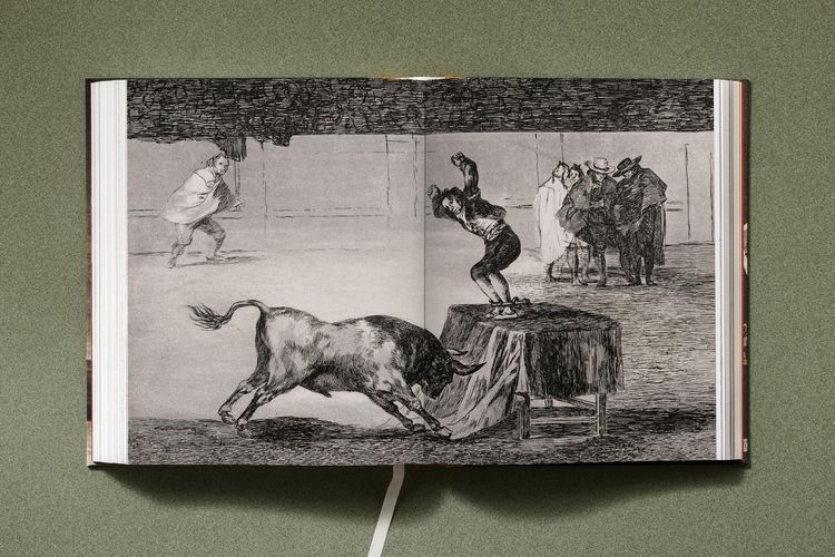 Produktbild: Goya