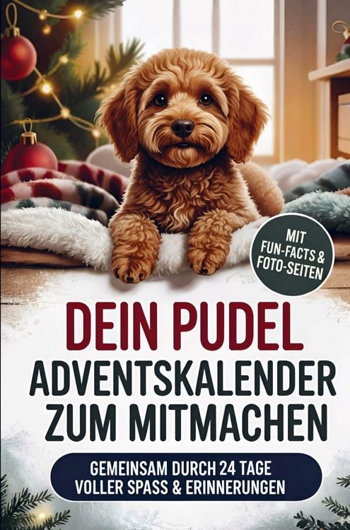 Produktbild: DEIN Pudel Adventskalender zum Mitmachen: