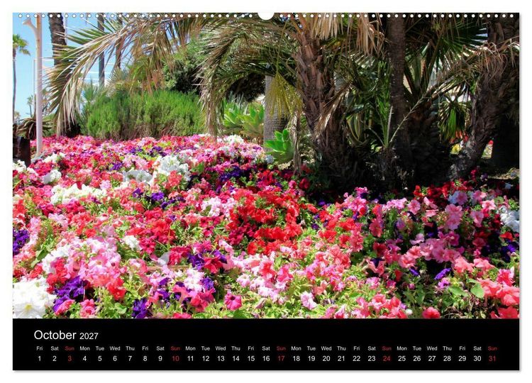 Produktbild: Estepona Costa Del Sol (High Quality Premium Wall Calendar 2027 DIN A2 landscape),CALVENDO 12 Month Wall Calendar