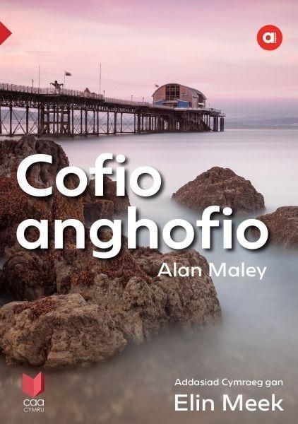Produktbild: Cyfres Amdani: Cofio Anghofio