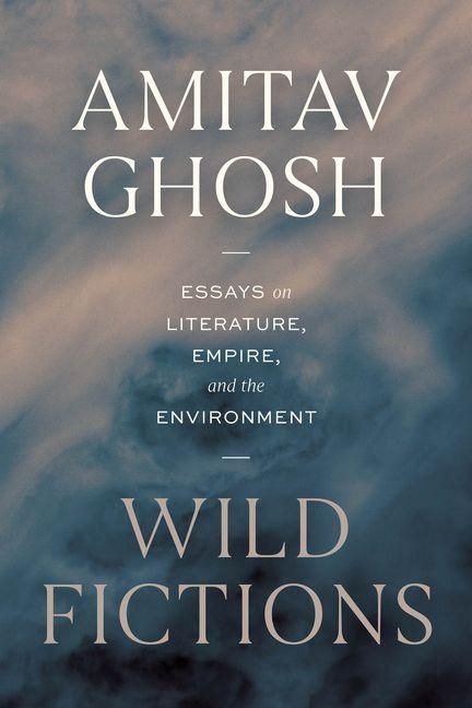 Produktbild: Wild Fictions