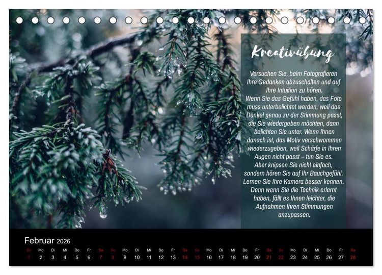 Produktbild: Die Sch&ouml;nheit der Natur - Naturfotografie-Kalender mit Foto- und Kreativ&uuml;bungen (Tischkalender 2026 DIN A5 quer), CALVENDO Monatskalender