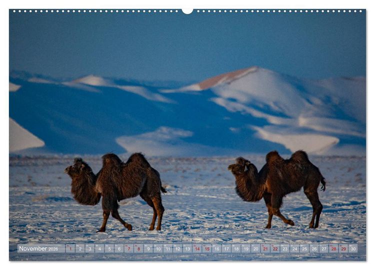 Produktbild: Mongolei - imposantes Land (hochwertiger Premium Wandkalender 2026 DIN A2 quer), Kunstdruck in Hochglanz