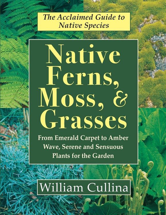 Produktbild: Native Ferns, Moss, and Grasses