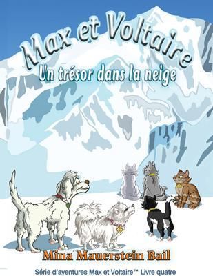 Produktbild: Max et Voltaire Un Tr&eacute;sor dans la neige