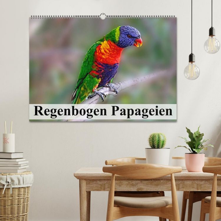 Produktbild: Regenbogen Papageien (Wandkalender 2026 DIN A2 quer), CALVENDO Monatskalender