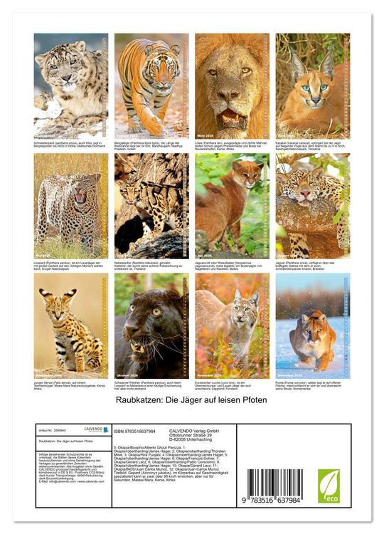 Produktbild: Raubkatzen: Die J&auml;ger auf leisen Pfoten (Wandkalender 2026 DIN A4 hoch), CALVENDO Monatskalender
