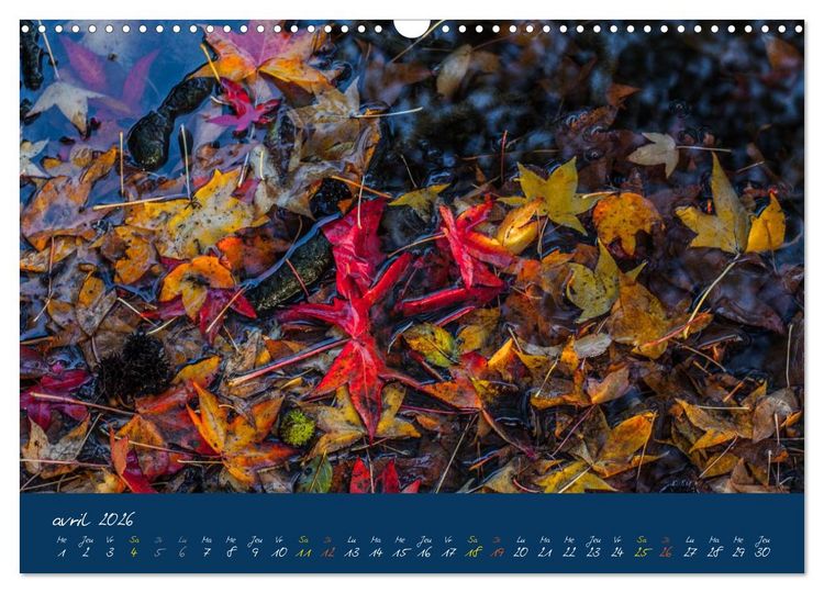 Produktbild: Un automne au Bois (Calendrier mural 2026 DIN A3 vertical), CALVENDO calendrier mensuel