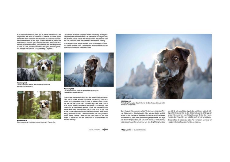 Produktbild: Hundefotografie
