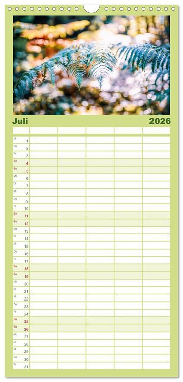 Produktbild: Familienplaner 2026 - Farne vom Licht umtanzt mit 5 Spalten (Wandkalender, 21 x 45 cm) CALVENDO