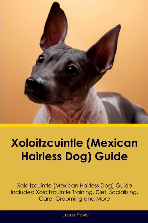 Produktbild: Xoloitzcuintle (Mexican Hairless Dog) Guide Xoloitzcuintle Guide Includes