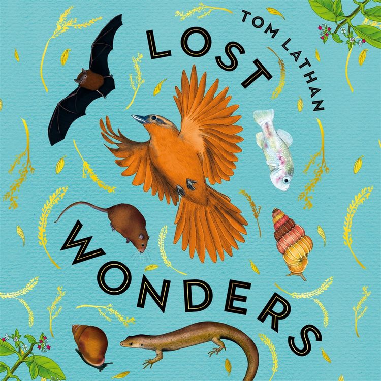 Produktbild: Lost Wonders