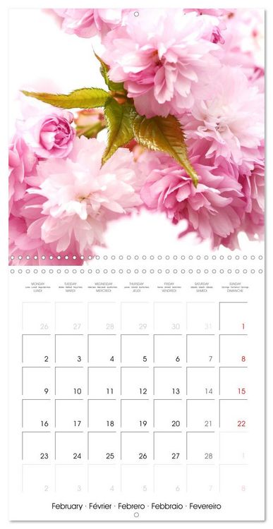 Produktbild: Arbres et arbustes la floraison (Calendrier mural carr&eacute; 2026 30x30 cm) Calendrier double avec une page pour vos prises de notes