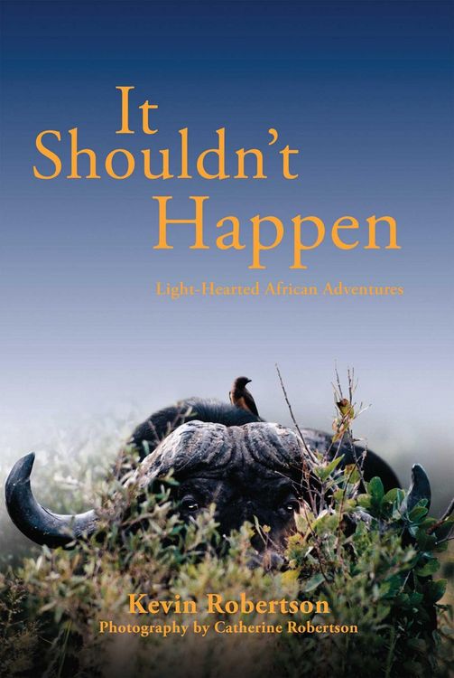 Produktbild: It Shouldn't Happen