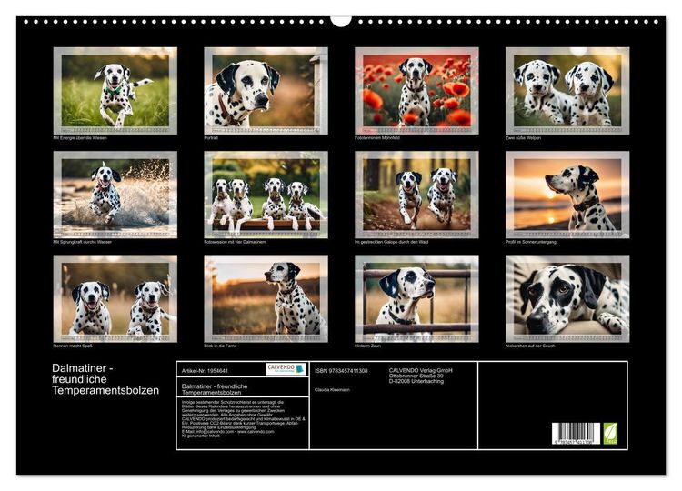Produktbild: Dalmatiner - freundliche Temperamentsbolzen (Wandkalender 2026 DIN A2 quer), CALVENDO Monatskalender