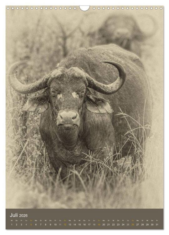 Produktbild: Afrikas Tierwelt - Sepia-Art (Wandkalender 2026 DIN A3 hoch), CALVENDO Monatskalender