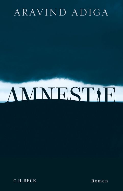 Produktbild: Amnestie