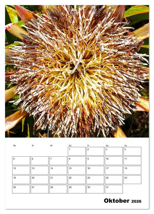 Produktbild: Fotokunst und Natur 2026 (Wandkalender 2026 DIN A3 hoch), CALVENDO Monatskalender