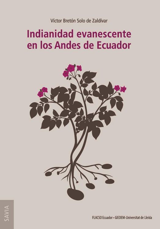 Produktbild: Indianidad evanescente en los Andes de Ecuador