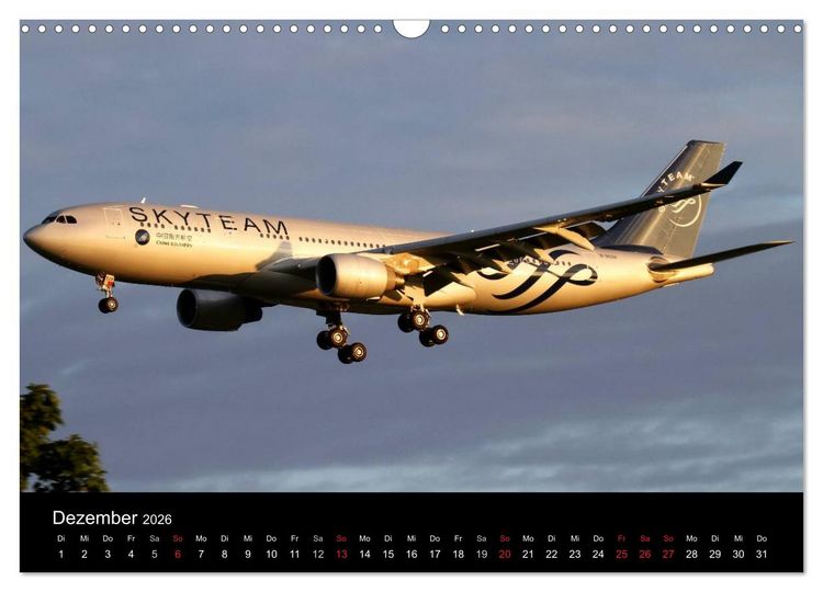Produktbild: Sch&ouml;nheit der Flugzeuge (Wandkalender 2026 DIN A3 quer), CALVENDO Monatskalender