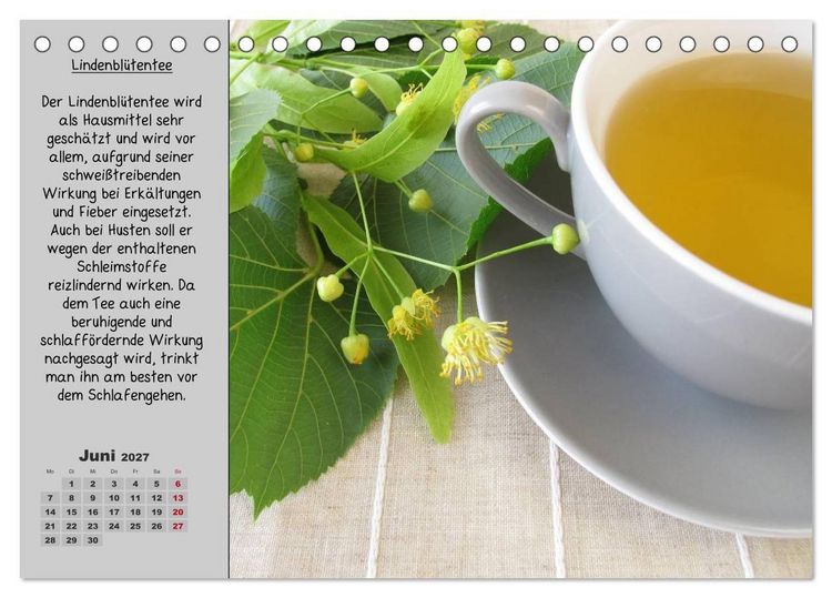 Produktbild: Eine kleine Teekunde - Zw&ouml;lf Teesorten im Portr&auml;t (Tischkalender 2027 DIN A5 quer), CALVENDO Monatskalender