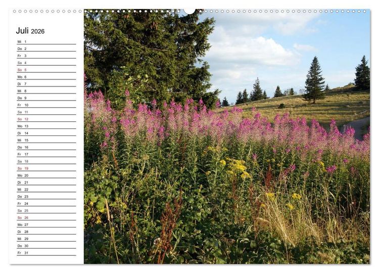 Produktbild: S&uuml;dschwarzwald - Impressionen (Wandkalender 2026 DIN A2 quer), CALVENDO Monatskalender