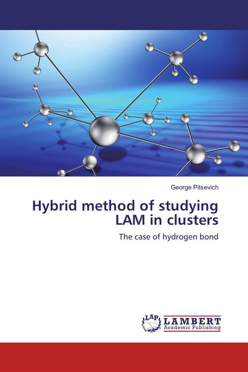 Produktbild: Hybrid method of studying LAM in clusters