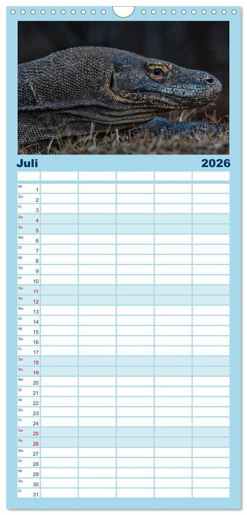 Produktbild: Familienplaner 2026 - Drachen: Geheimnisvolles Tierreich mit 5 Spalten (Wandkalender, 21 x 45 cm) CALVENDO