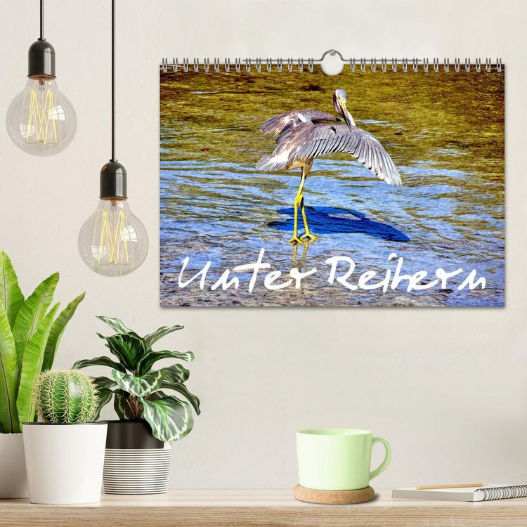 Produktbild: Unter Reihern (Wandkalender 2026 DIN A4 quer), CALVENDO Monatskalender