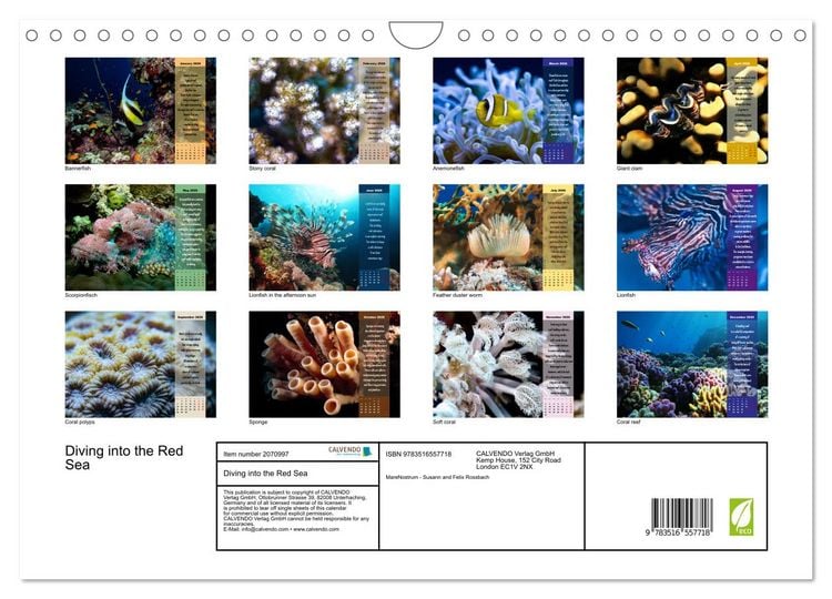 Produktbild: Diving into the Red Sea (Wall Calendar 2026 DIN A4 landscape), CALVENDO 12 Month Wall Calendar