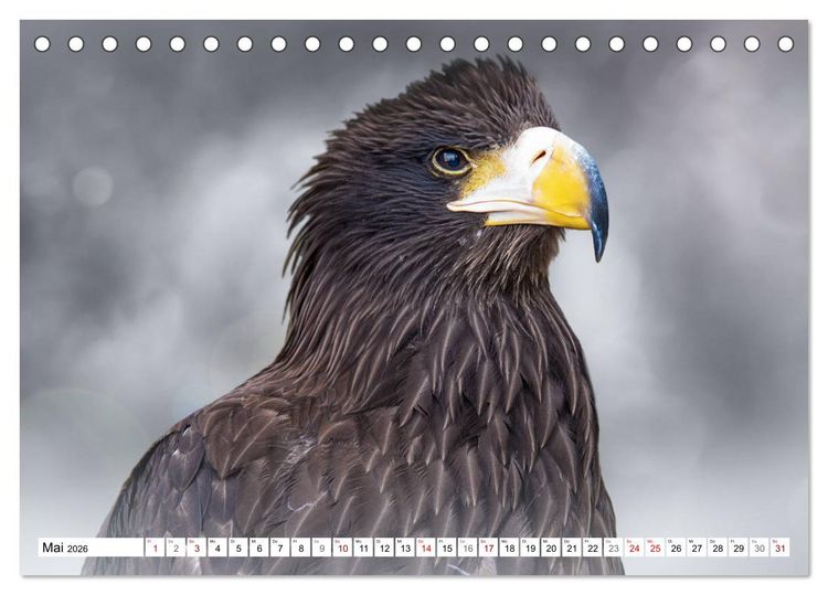 Produktbild: Erfolgreiche J&auml;ger (Tischkalender 2026 DIN A5 quer), CALVENDO Monatskalender