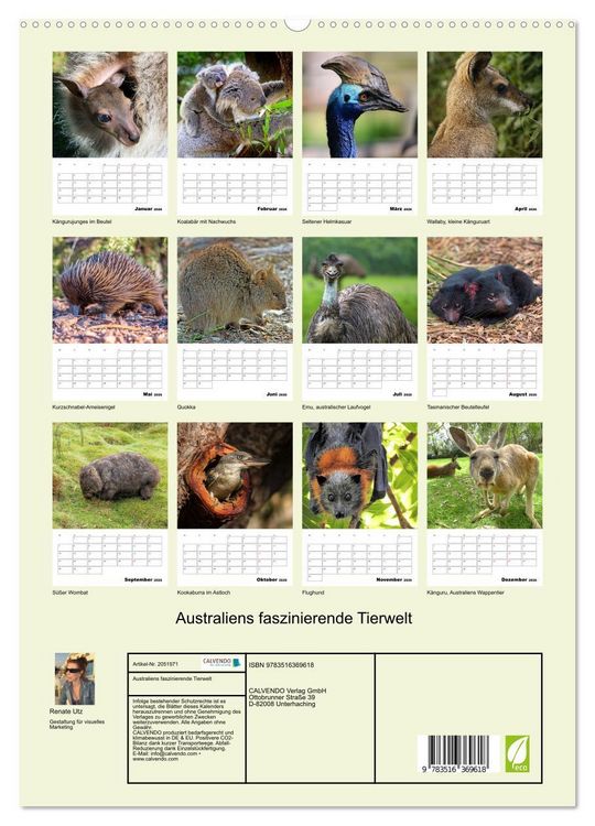 Produktbild: Australiens faszinierende Tierwelt (Wandkalender 2026 DIN A2 hoch), CALVENDO Monatskalender