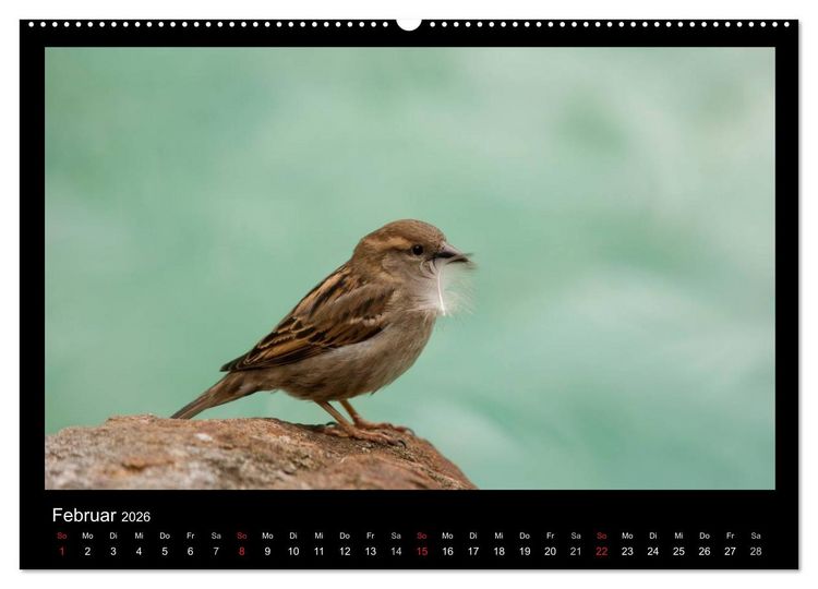 Produktbild: Natur erleben... (hochwertiger Premium Wandkalender 2026 DIN A2 quer), Kunstdruck in Hochglanz