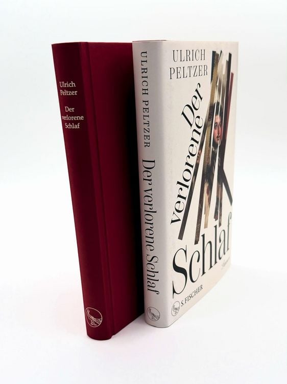 Produktbild: Der verlorene Schlaf