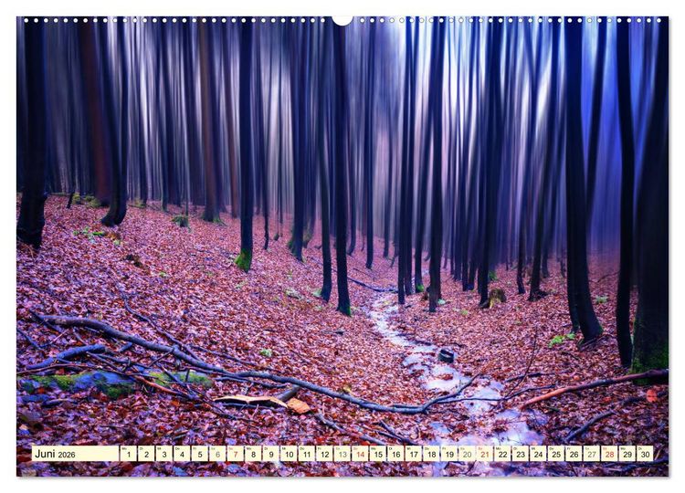 Produktbild: Mystische W&auml;lder - Zauber der Natur (hochwertiger Premium Wandkalender 2026 DIN A2 quer), Kunstdruck in Hochglanz