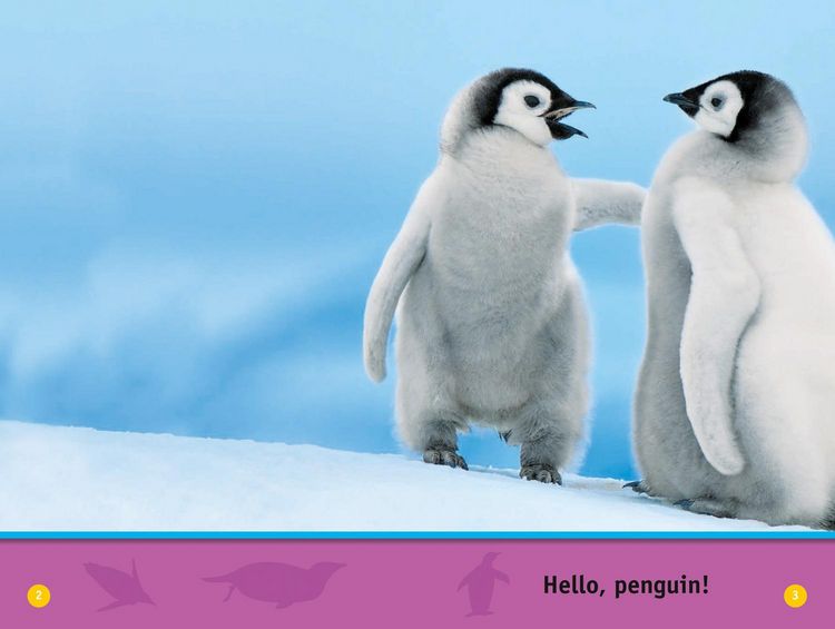 Produktbild: Hello, Penguin!