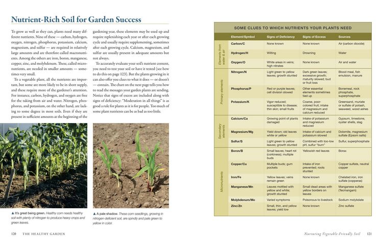 Produktbild: The Vegetable Gardener's Bible, 2nd Edition
