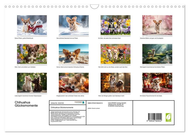 Produktbild: Chihuahua Gl&uuml;cksmomente (Wandkalender 2027 DIN A3 quer), CALVENDO Monatskalender