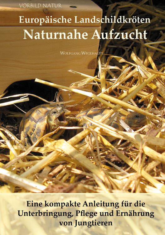 Produktbild: Europ&auml;ische Landschildkr&ouml;ten Naturnahe Aufzucht