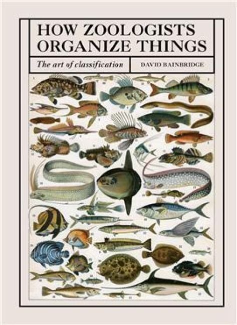 Produktbild: How Zoologists Organize Things