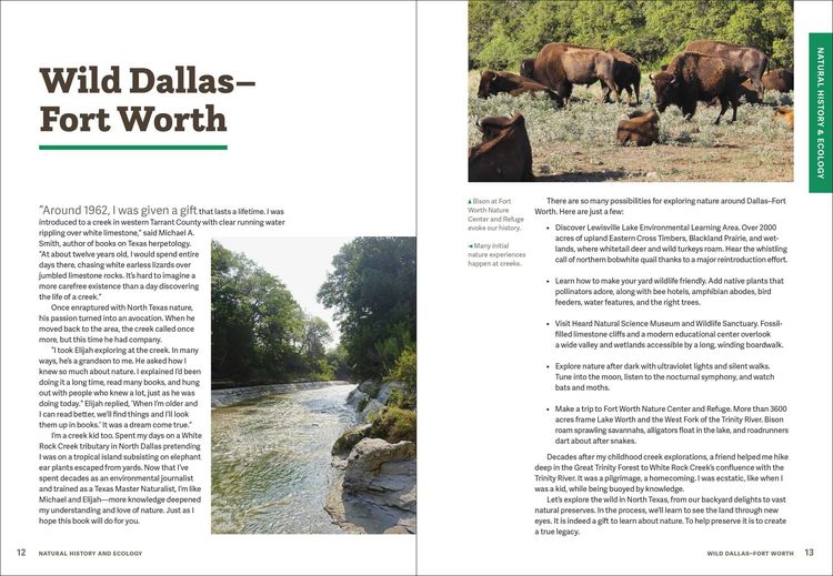 Produktbild: Wild Dfw